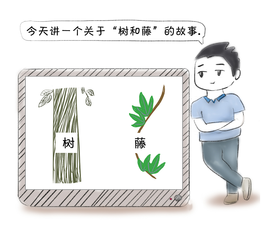 树和藤的故事