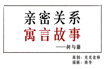树和藤的故事