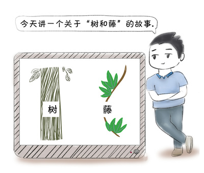 树和藤的故事