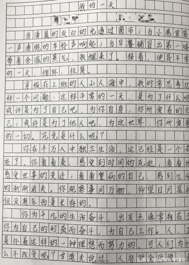 我的    作文