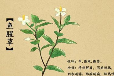 描写夏夜的古诗