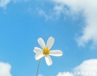让人豁然开朗的句子