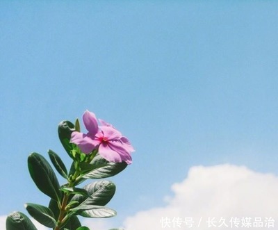 让人豁然开朗的句子