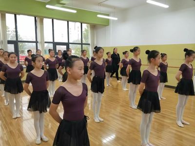 我学会了舞蹈300字