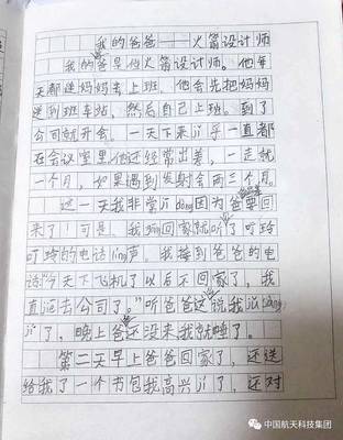我的    作文