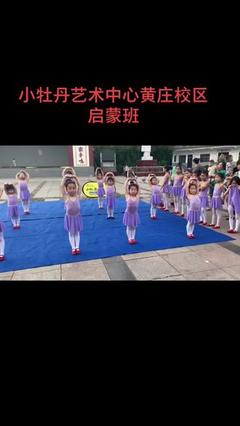 我学会了舞蹈300字