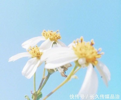 让人豁然开朗的句子
