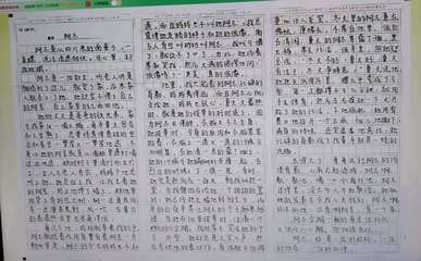 他真的很棒作文