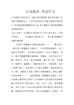漫步 作文