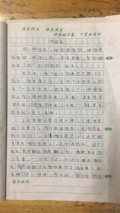 他真的很棒作文