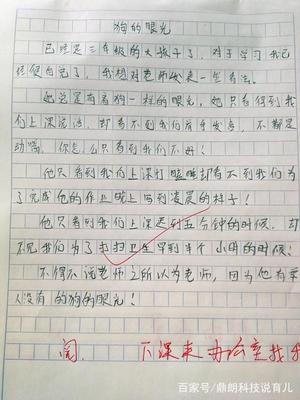 什么说作文