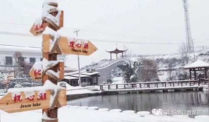描写中年女人外貌的句子