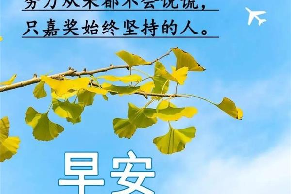 给自己一个交代的句子