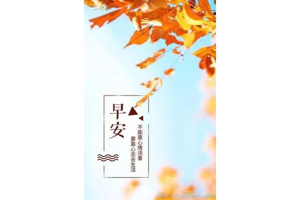 给自己一个交代的句子