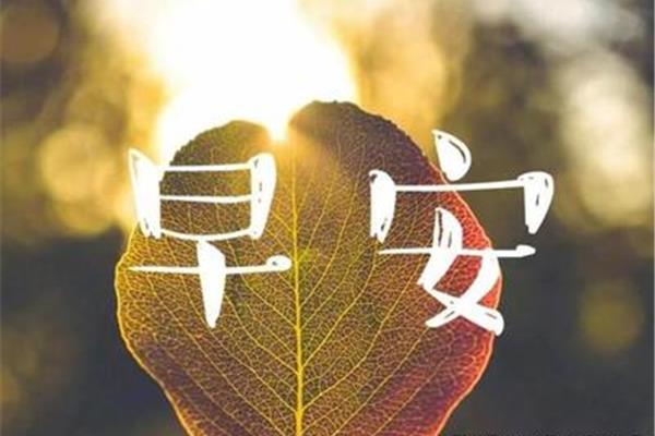 给自己一个交代的句子