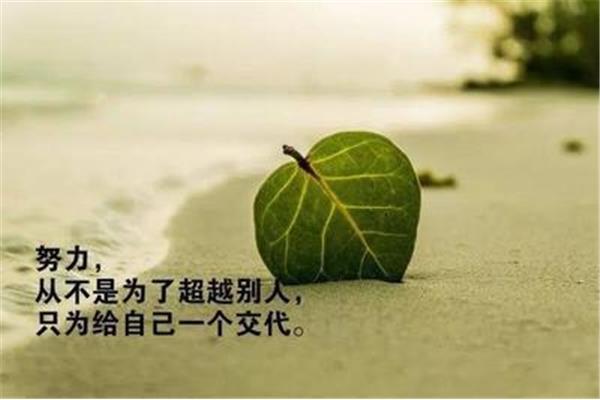 给自己一个交代的句子