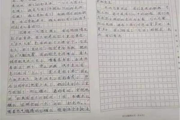 为什么鼓掌作文