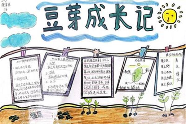 小学生如何制作再生纸