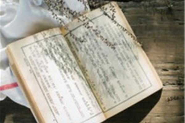 用依然造句子