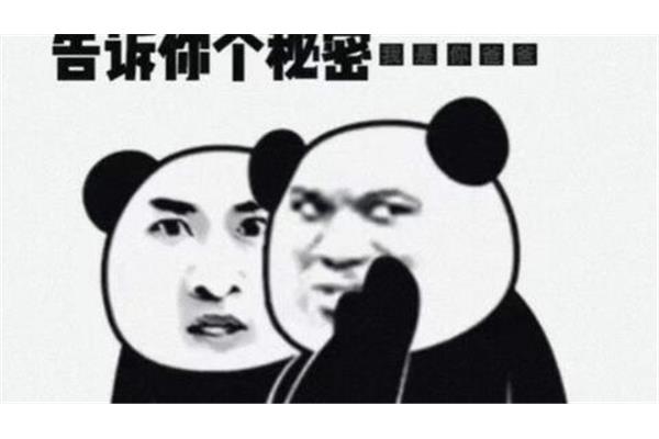 我告诉你个秘密作文