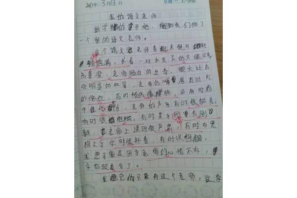 为什么鼓掌作文