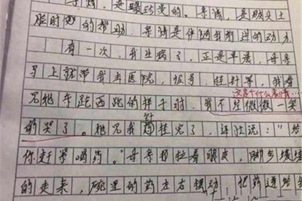 为什么鼓掌作文