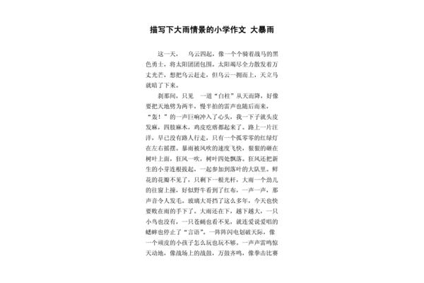 狂风暴雨的作文