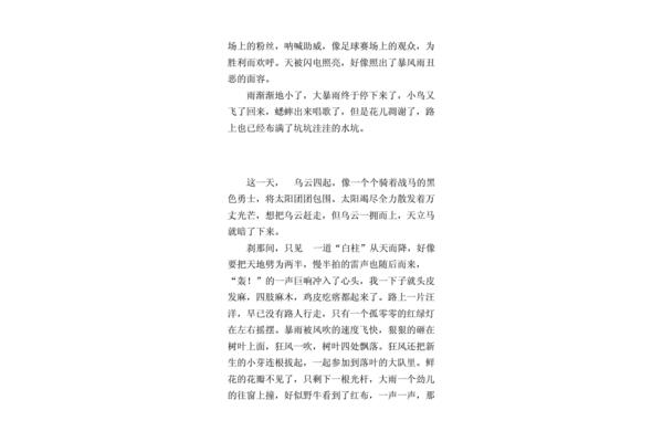 狂风暴雨的作文