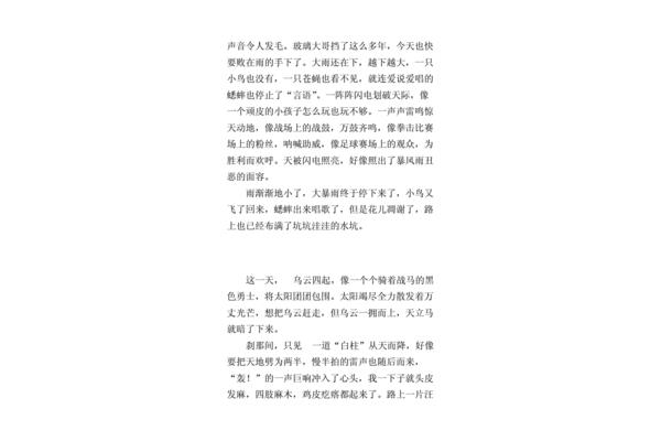 狂风暴雨的作文