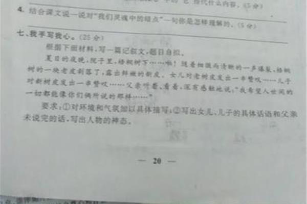 梧桐树 作文