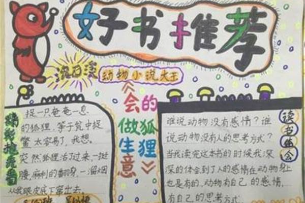 关于一本书的手抄报