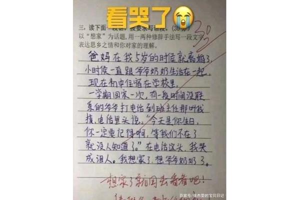 写思乡的作文