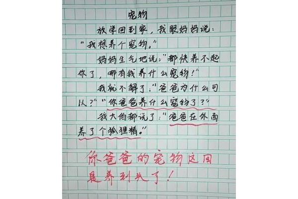 我的幽默老师作文