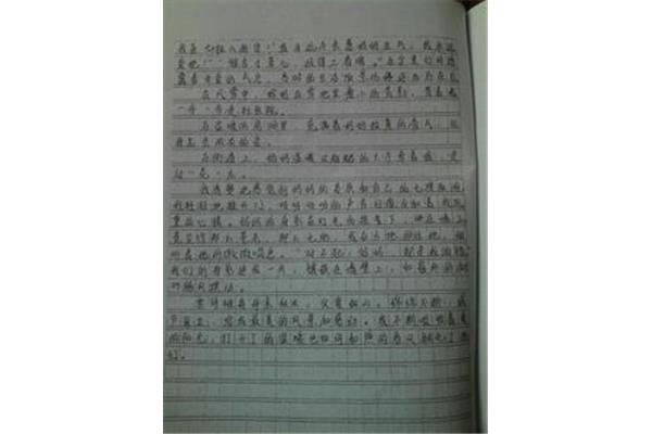 亲情伴我成长作文600字