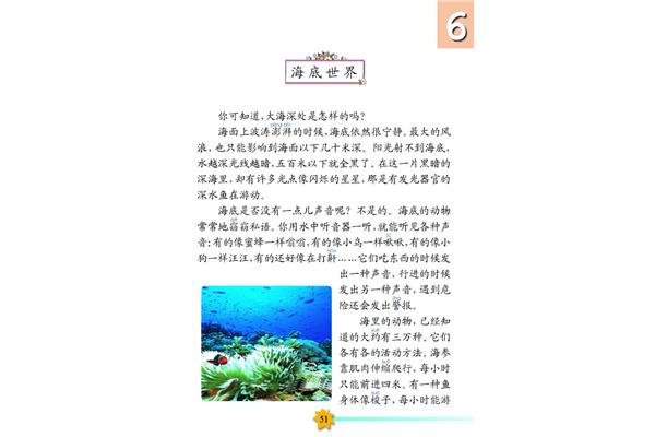 美丽的海洋世界作文