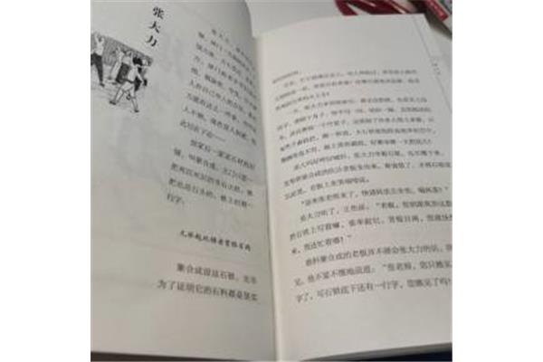 张大力读后感