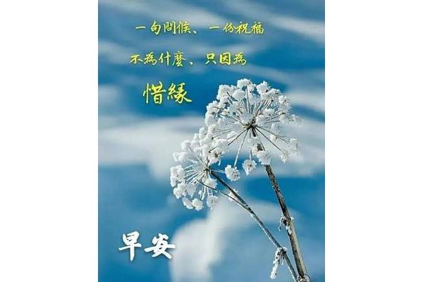 早睡早起的句子