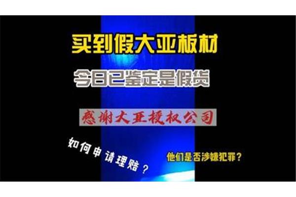 有关猫的故事
