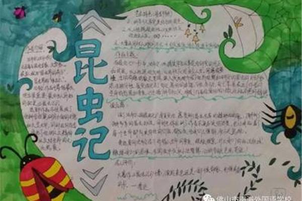 我和昆虫的故事
