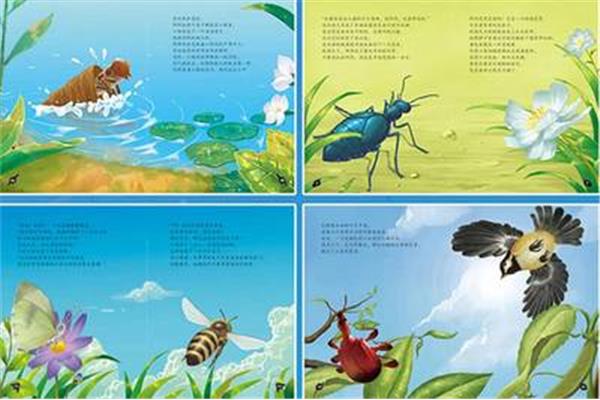我和昆虫的故事