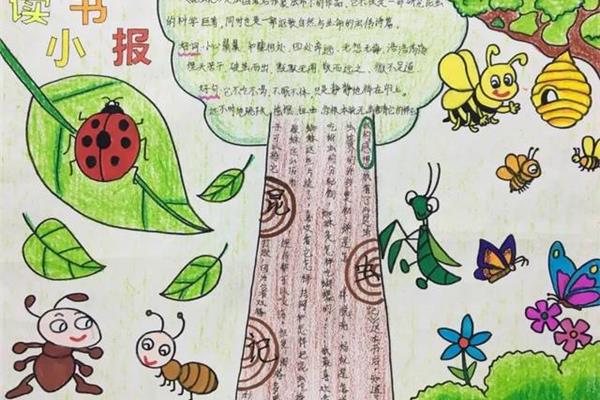 我和昆虫的故事