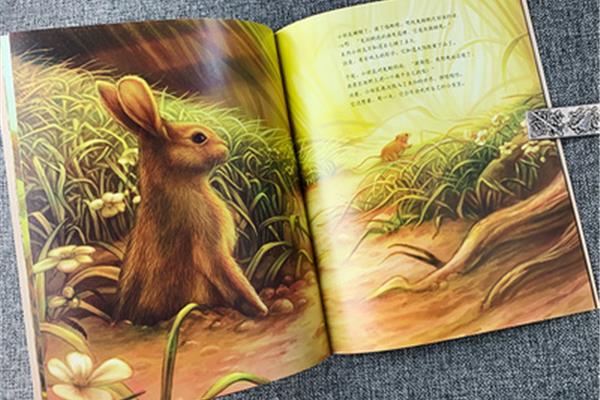 动物绘本故事