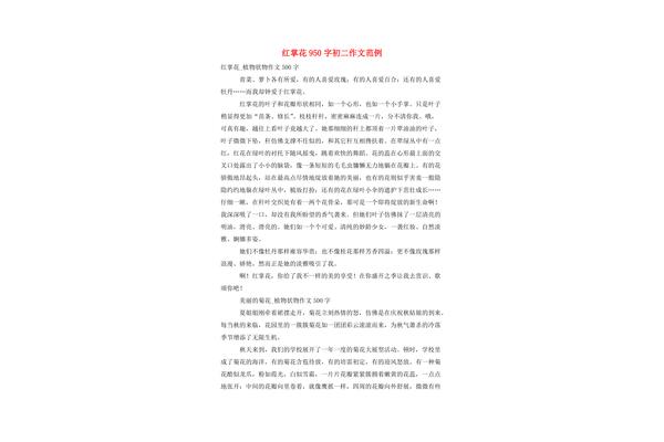 关于红掌的作文