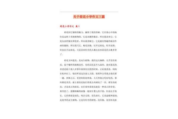 关于荷花的作文