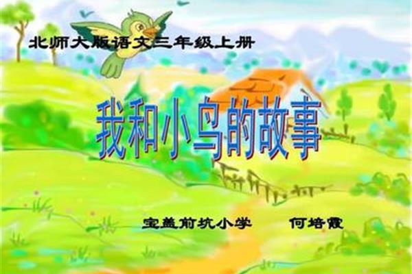 我和小鸟的故事