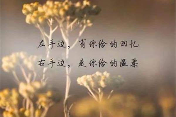 心里难过的句子
