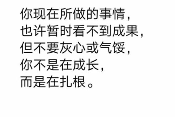不要灰心的句子
