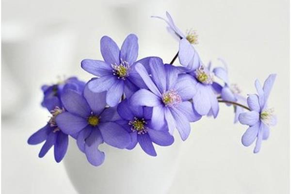 钥匙与锁的唯美句子