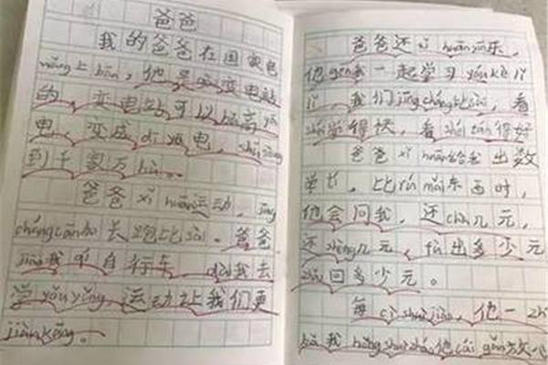 爸爸变了作文