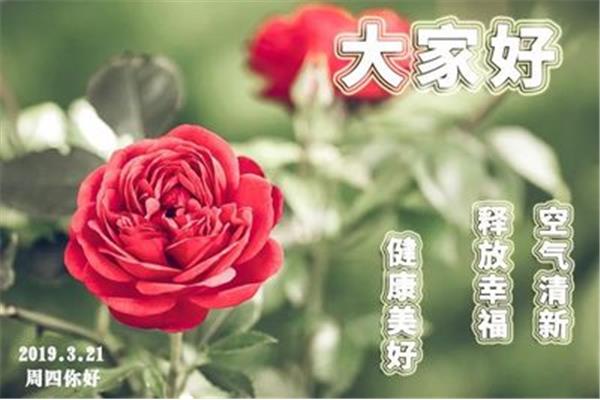 早上空气清新的句子